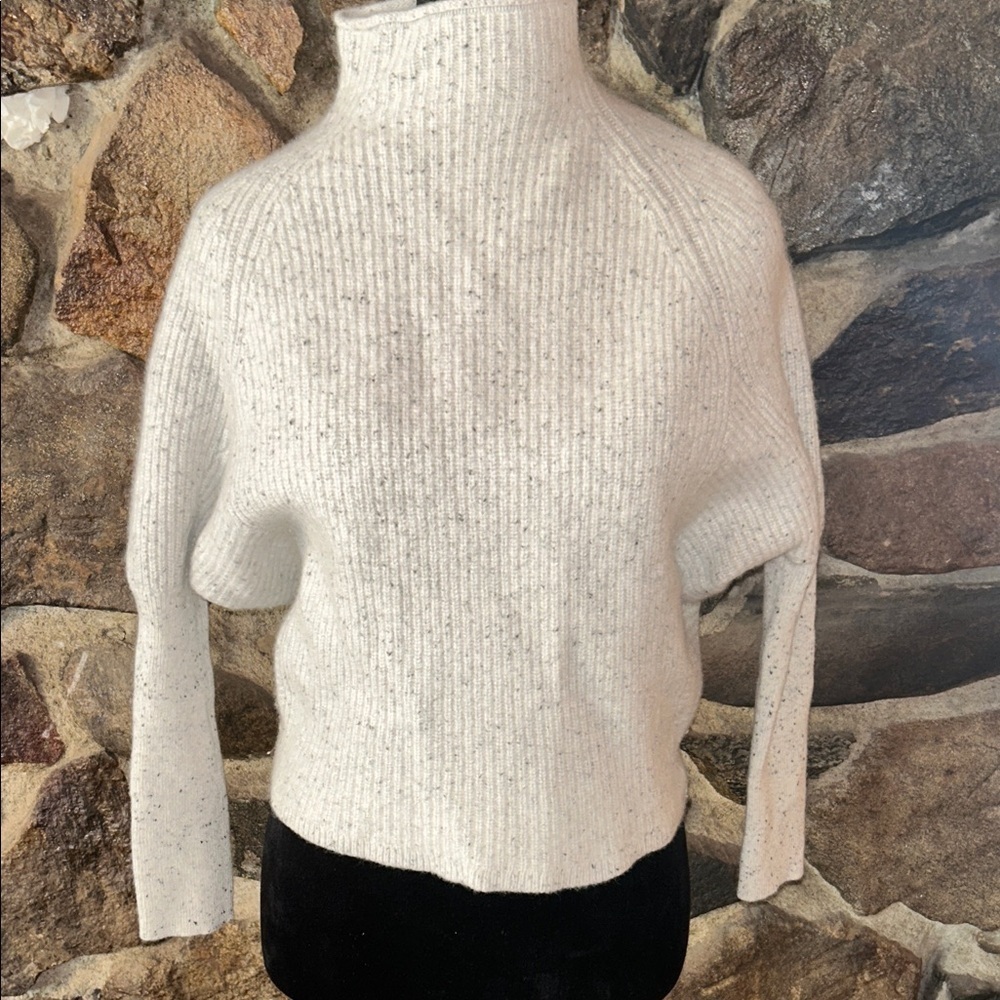 Club Monaco Cream Turtleneck Sweater